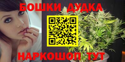 jwh Ставрополь