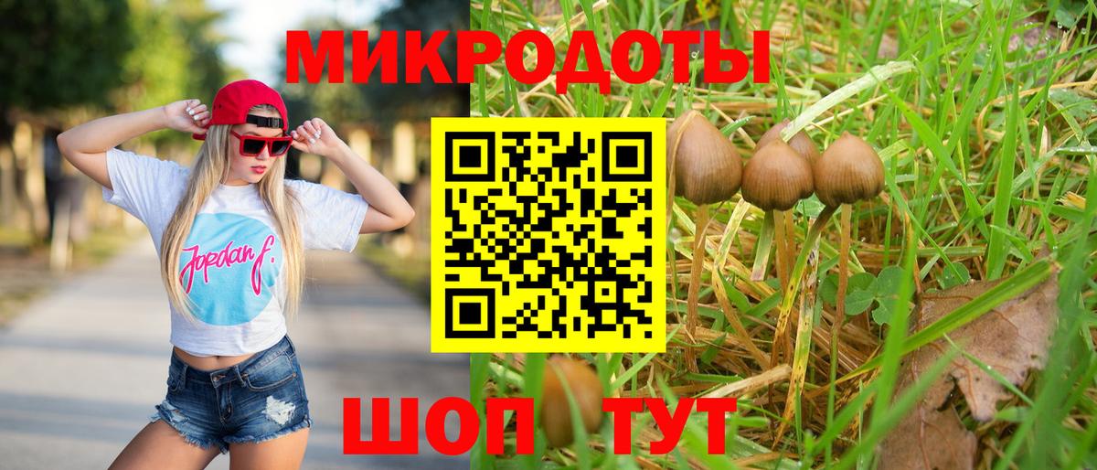 Галлюциногенные грибы мухоморы  Вход с VPN  Нальчик 